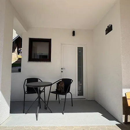 Cosy Cathouse 拉多夫吉卡
